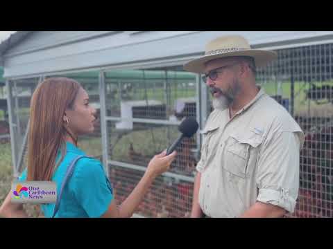 Impact of Bird Flu on Puerto Rico