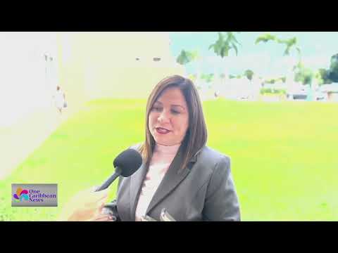Carmen Maldonado Running for Governor for Popular Democratic Party