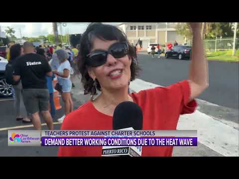Teachers in Puerto Rico Protest Against Charter Schools, Demand Better Working Conditions