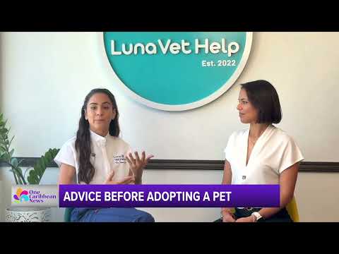 Advice Before Adopting a Pet from Luna Vet Help