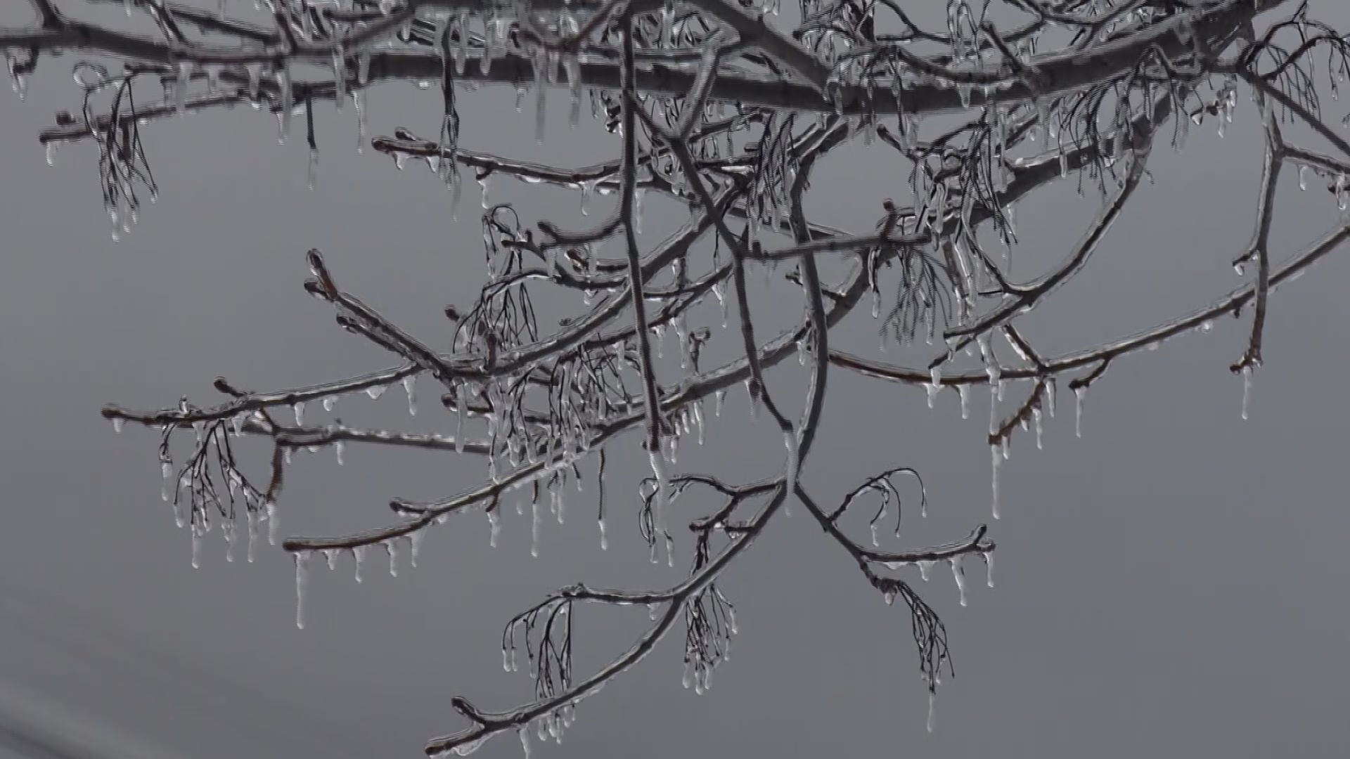 Michigan’s Congressional Delegation Ready to Help State if Federal Assistance is Needed Following Ice Storms